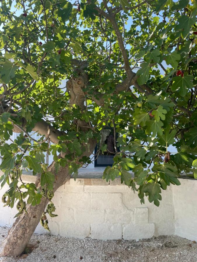 Bed and Breakfast I Tre Coni By Acqua Di Puglia Locorotondo Exterior foto